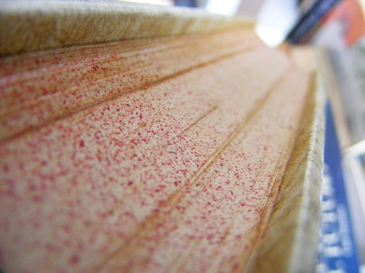 biblioteca 130 copy.jpg